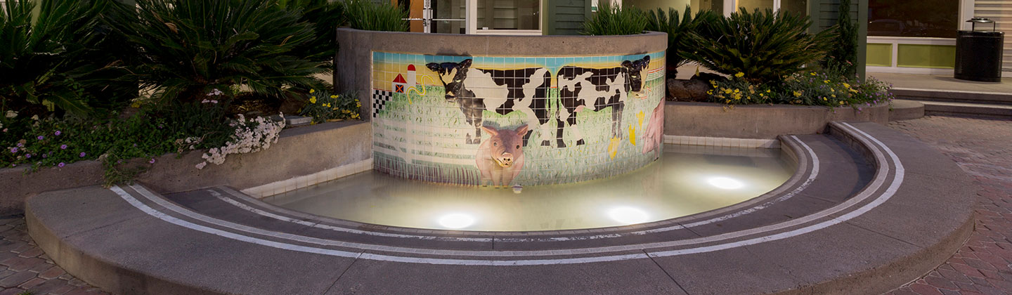 Marketplace Davis outdoor pig and cow fountain Davis, CA